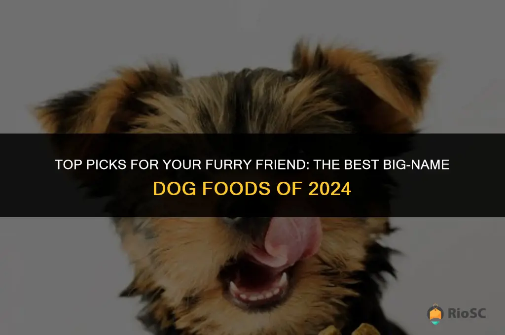 best big name dog food