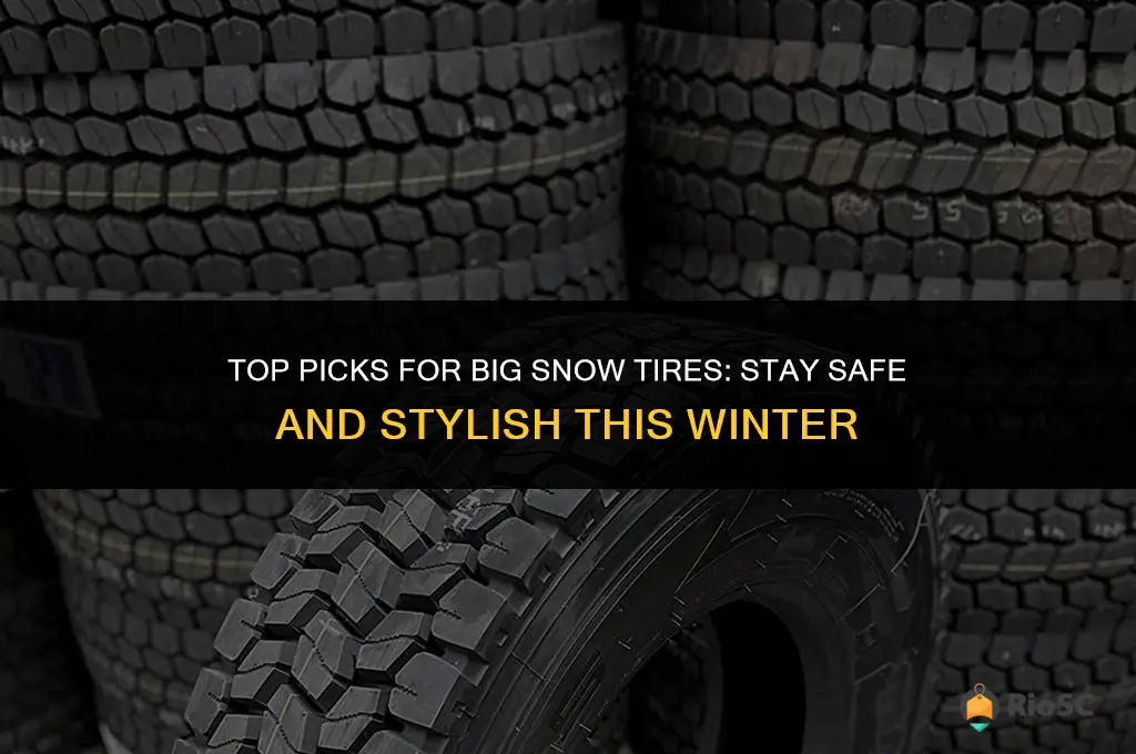 best big snow tires