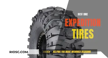 The Ultimate Guide to Choosing the Best Bike Expedition Tires: Unlocking Adventure's Potential