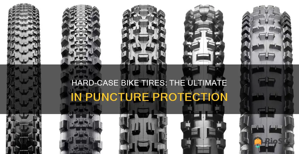 best bike hard case tires