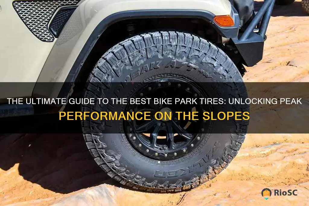 best bike park tires