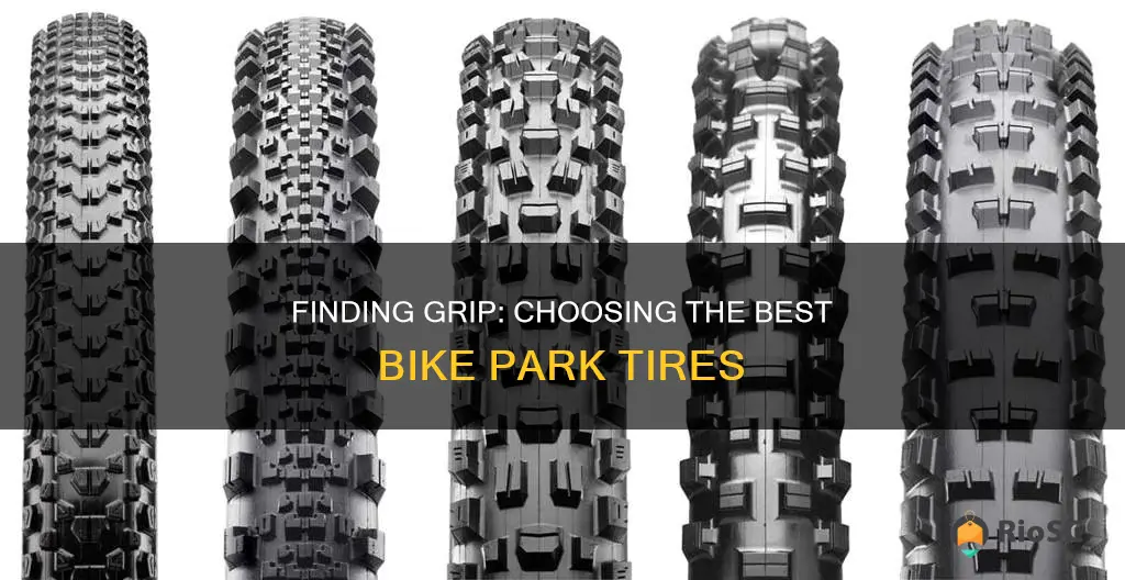 best bike park tires