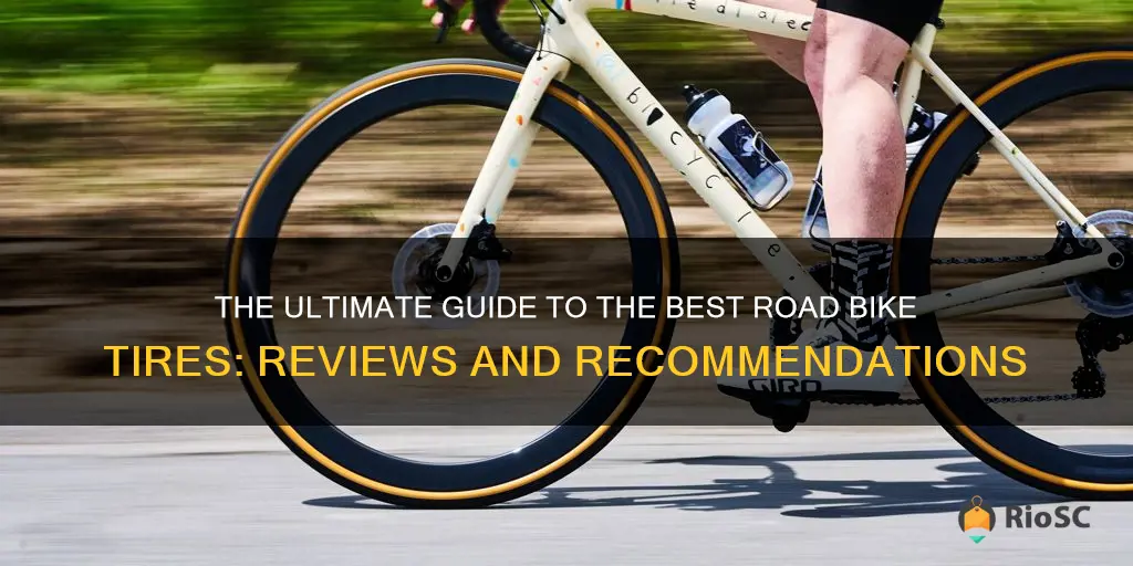 best bike road tires reviews