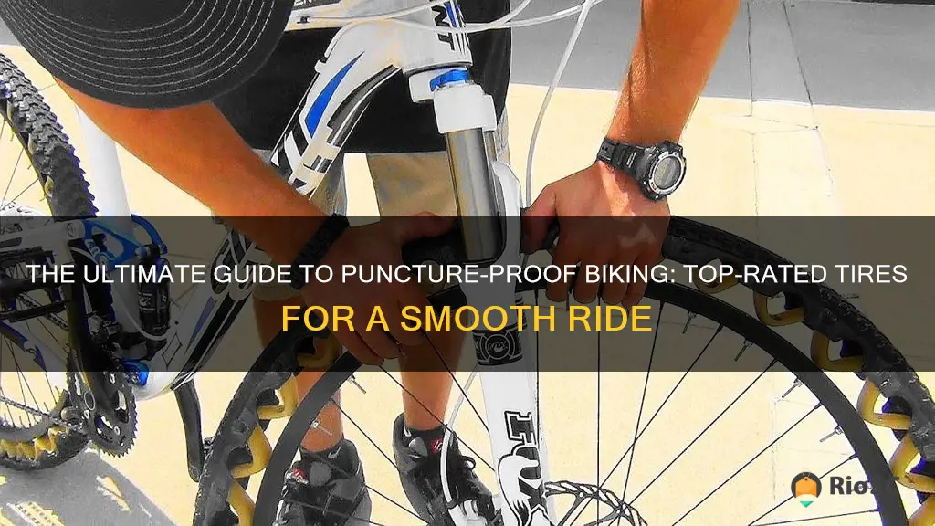 best bike tires anti thorn puncture