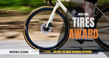 The Ultimate Guide to the Best Bike Tires: Unveiling the Top Performers