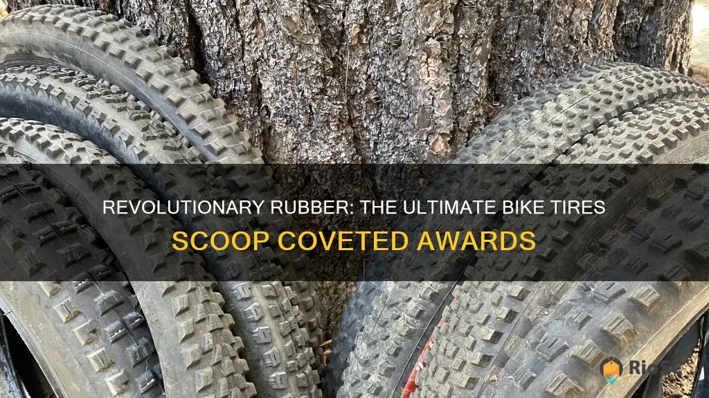 best bike tires award