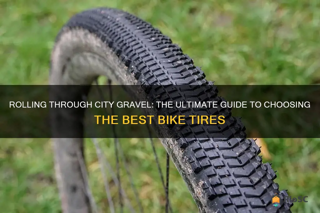 best bike tires city gravel