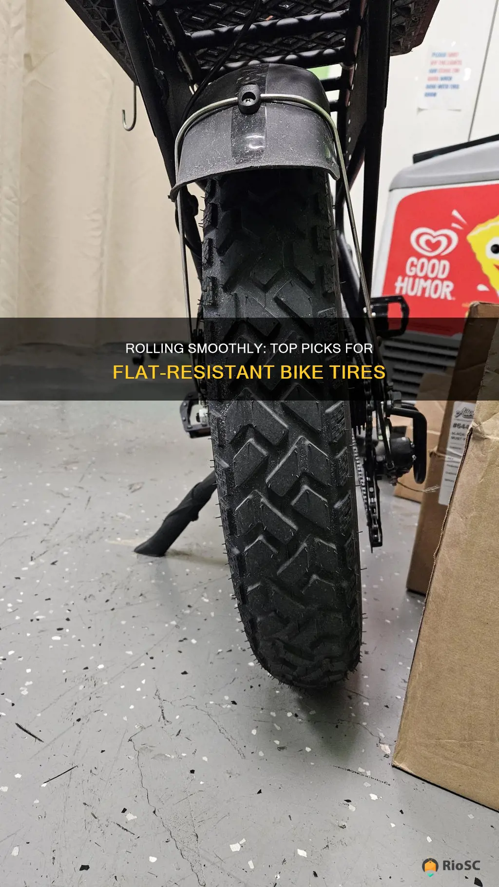 best bike tires flats