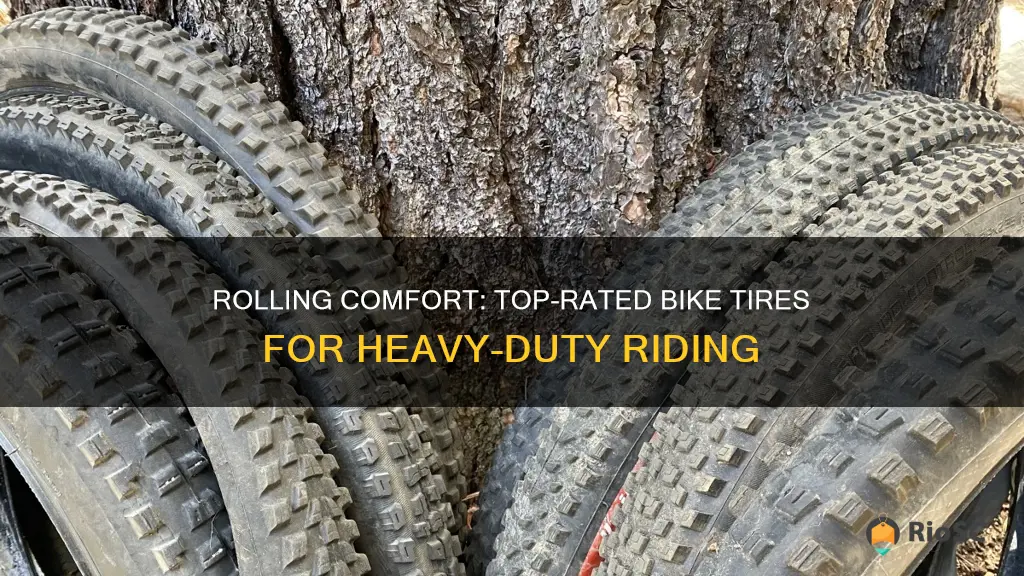 best bike tires for 250lb