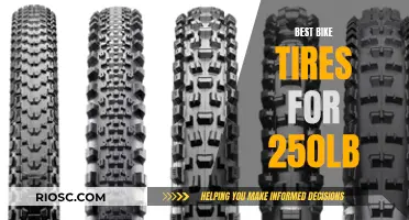 Heavy-Duty Bike Tires: Finding the Best Fit for Heavier Riders