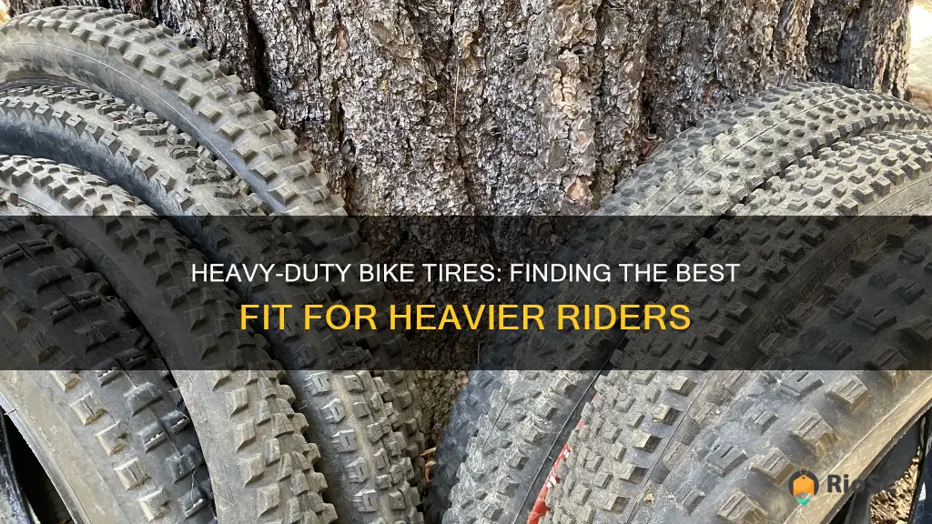 best bike tires for 250lb