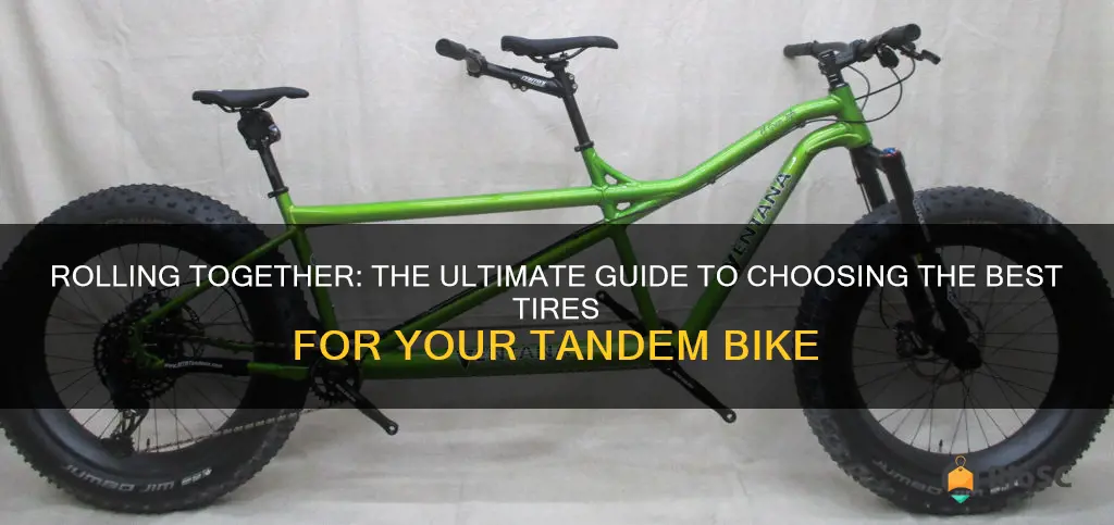 best bike tires for a tandem