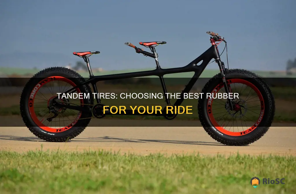 best bike tires for a tandem