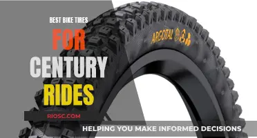 Century Rides: Choosing the Right Bike Tires for Endurance