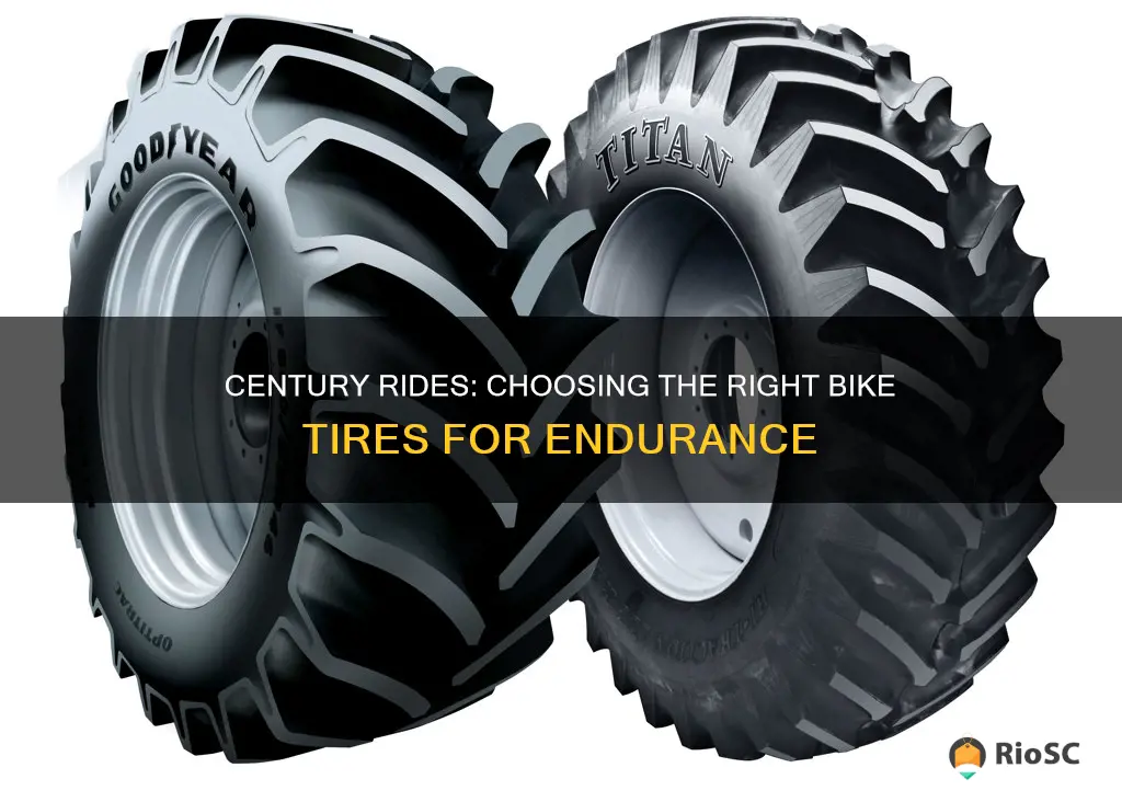 best bike tires for century rides