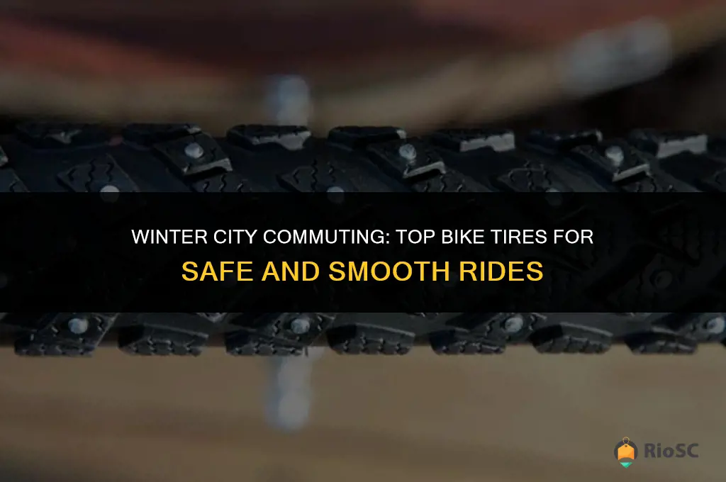 best bike tires for city commuting in winter