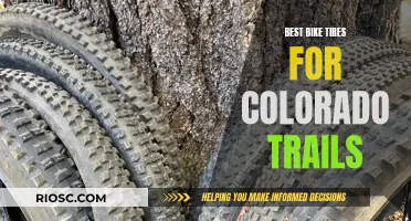 Mastering Colorado Trails: The Ultimate Guide to the Best Bike Tires