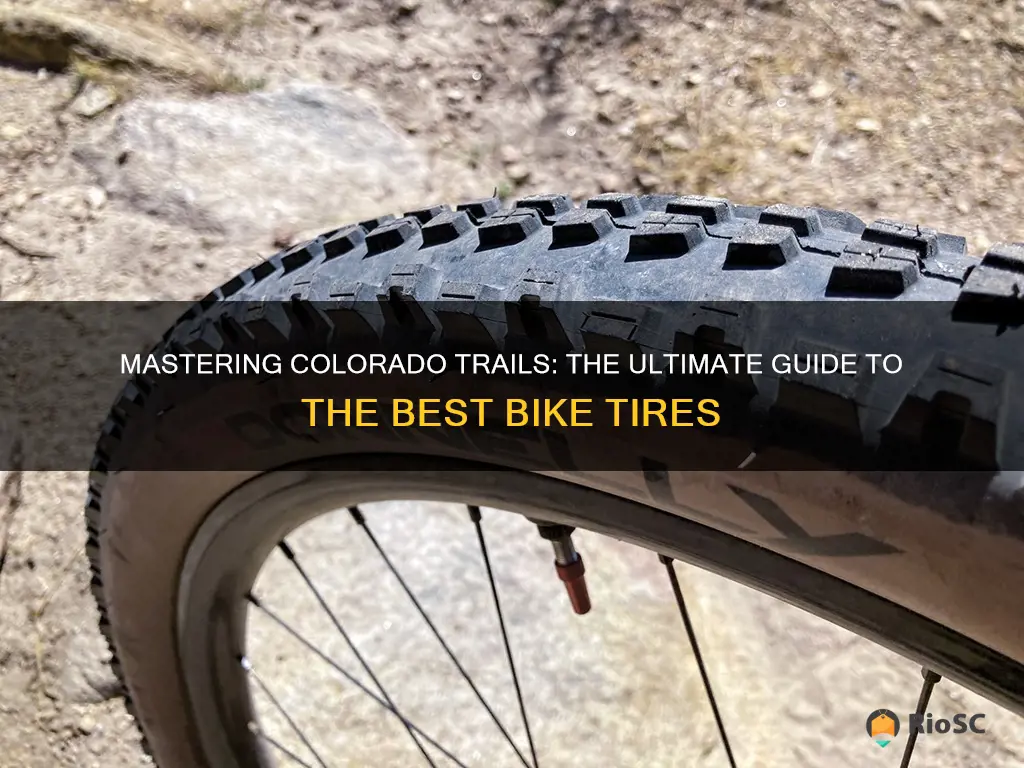 best bike tires for colorado trails