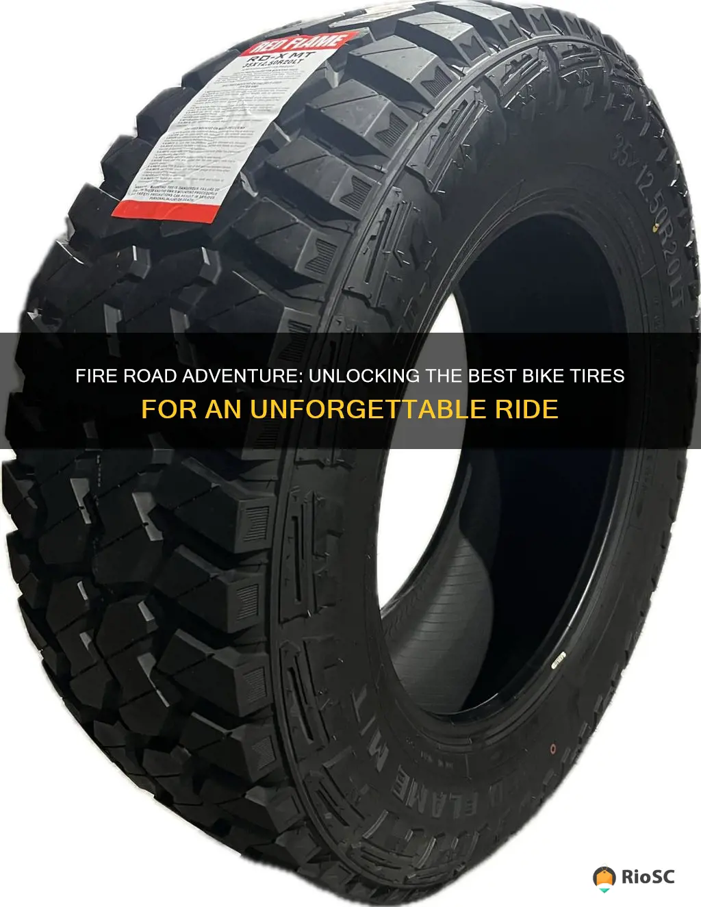 best bike tires for fire roads