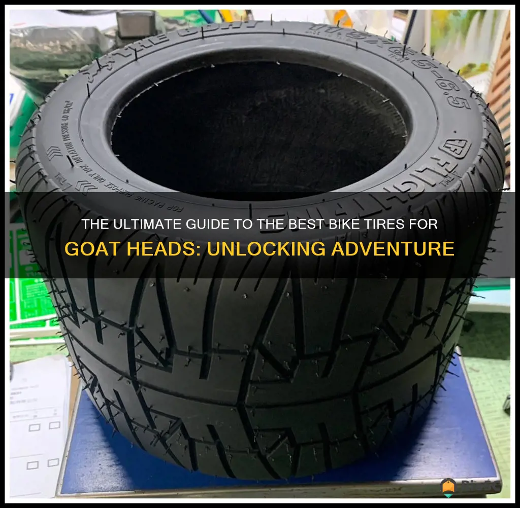 best bike tires for goat heads