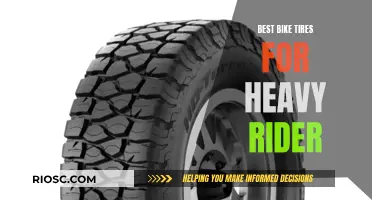 The Ultimate Guide to Finding the Best Bike Tires for Heavy Riders