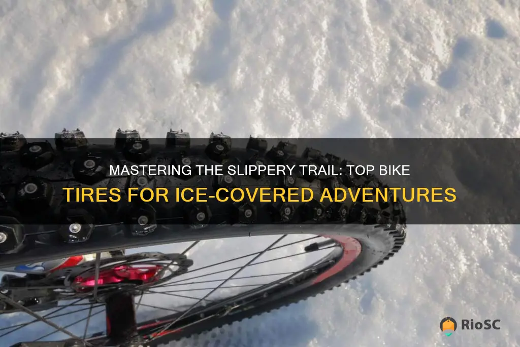 best bike tires for ice