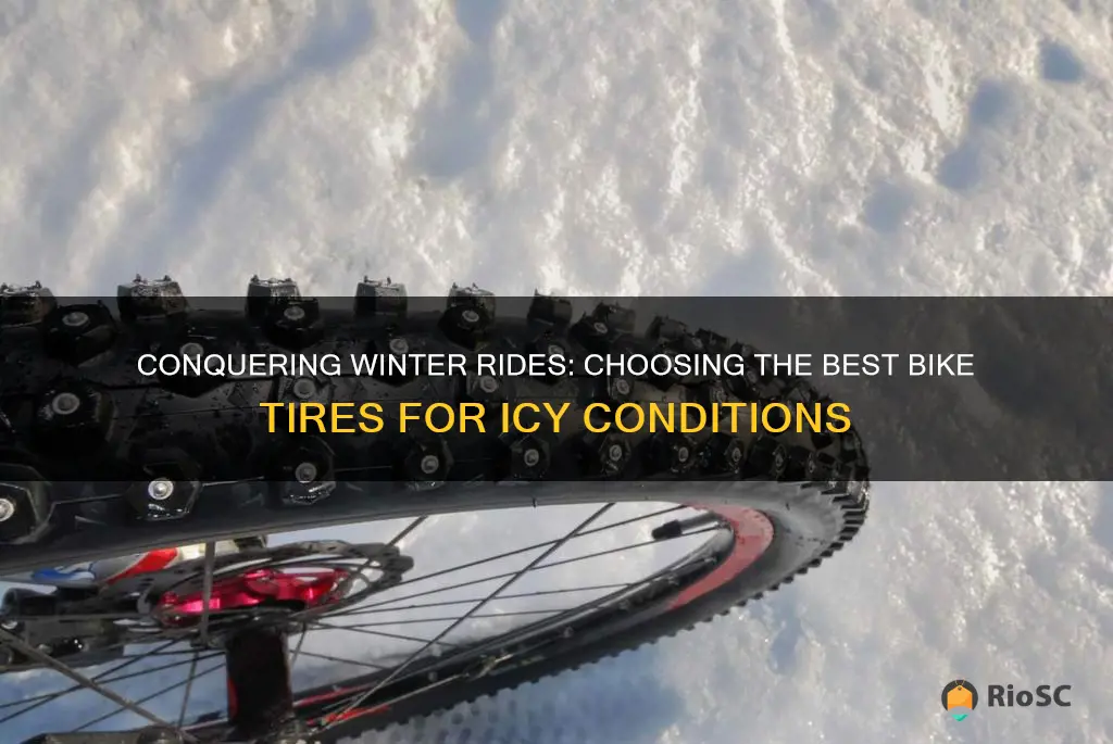 best bike tires for ice