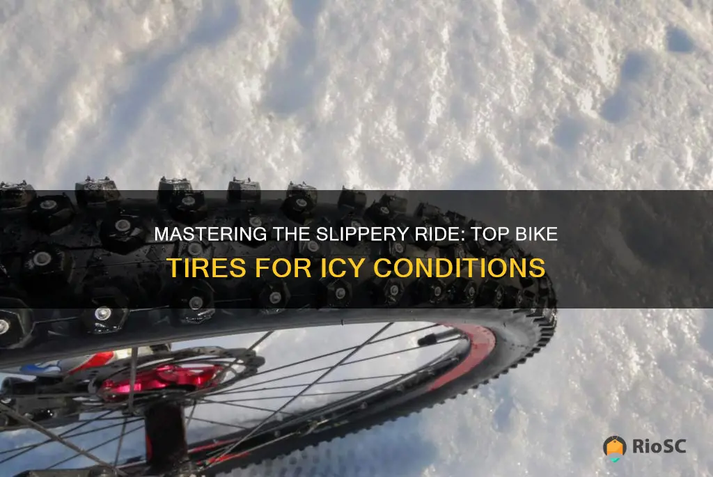 best bike tires for icy roads