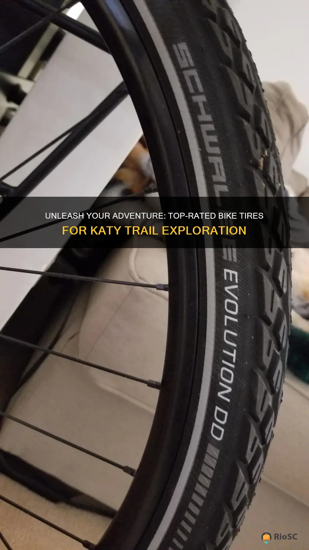 best bike tires for katy trail