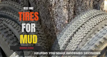 Mastering Mud: The Top Bike Tires for Wet and Dirty Trails