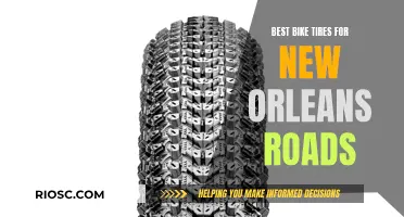 Rolling Through the Big Easy: Top Bike Tires for New Orleans Adventures