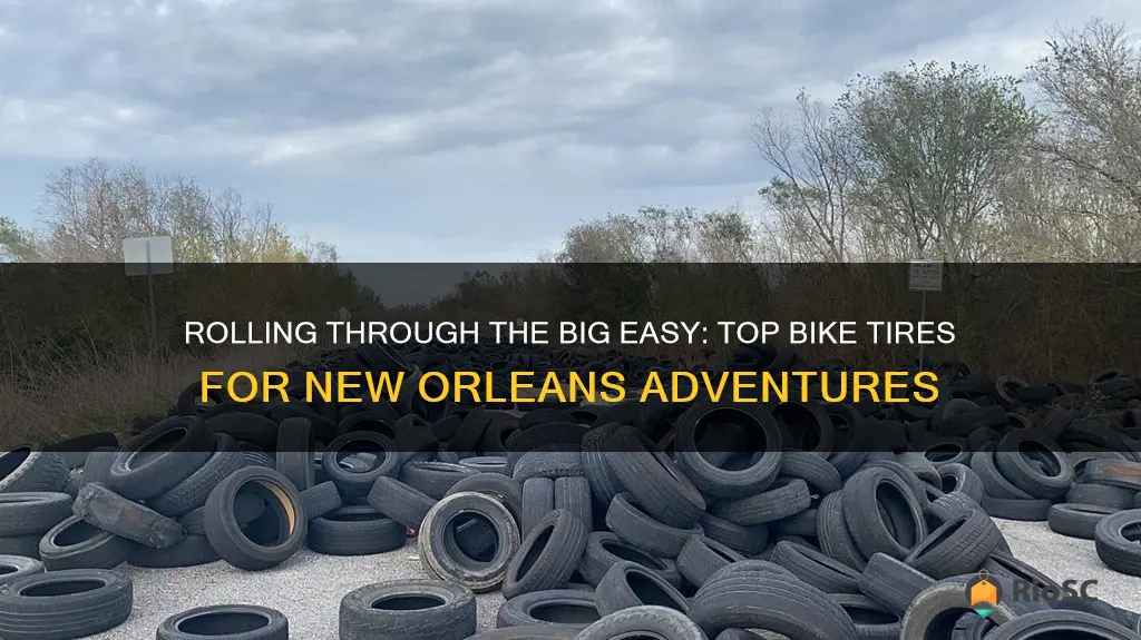 best bike tires for new orleans roads