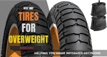 Rolling Comfort: Top-Rated Bike Tires for Overweight Cyclists