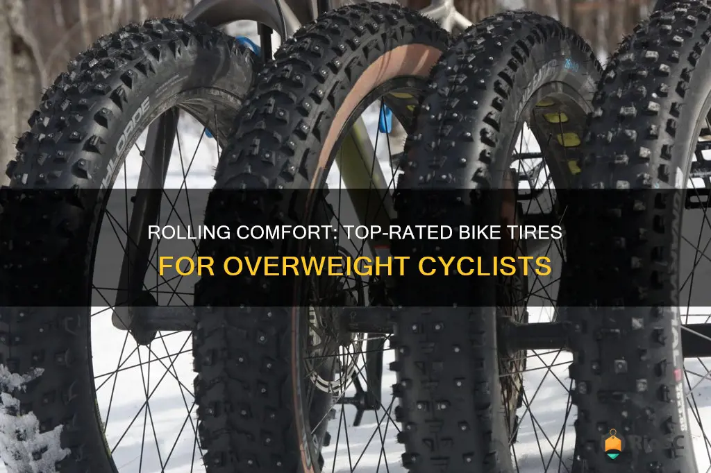 best bike tires for overweight