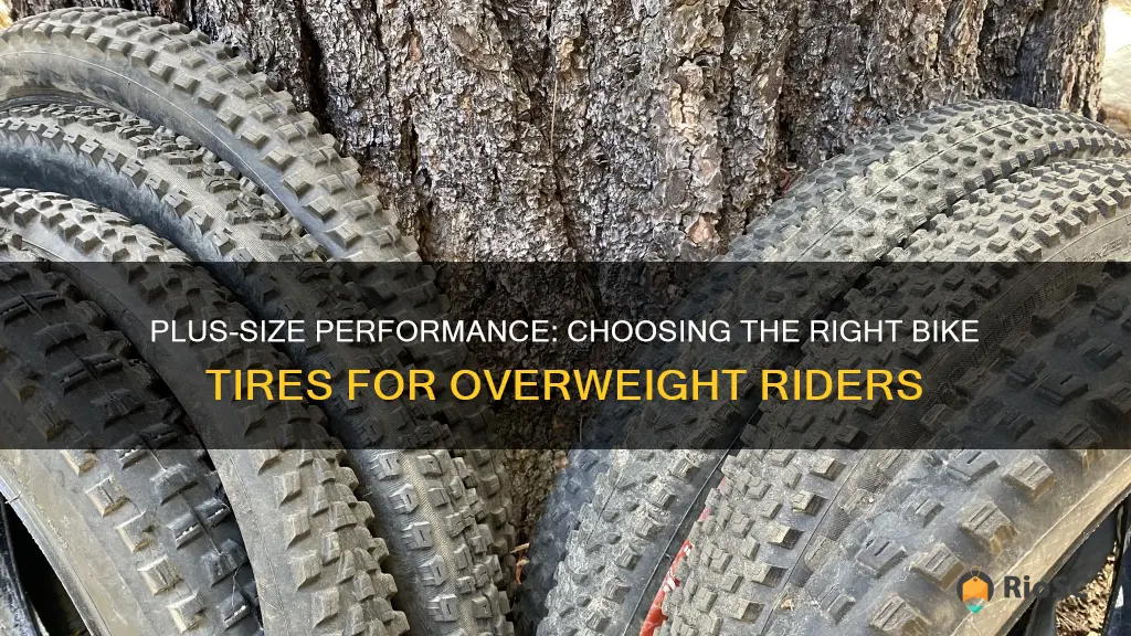 best bike tires for overweight