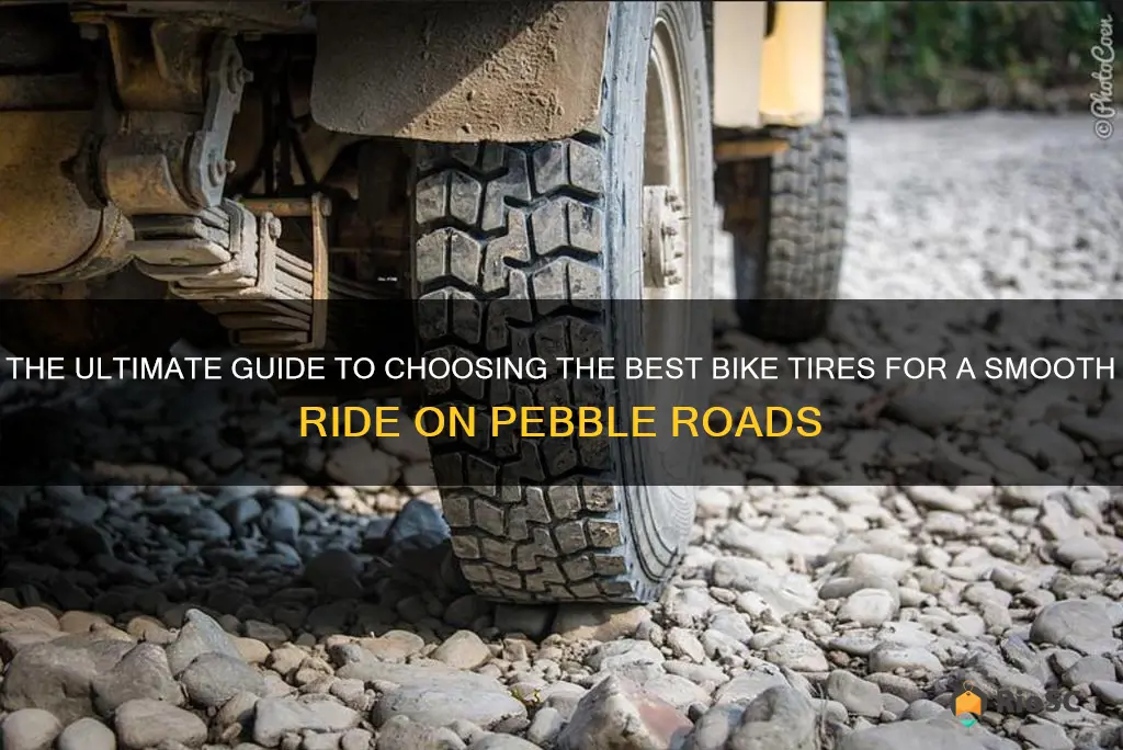 best bike tires for pebble roads