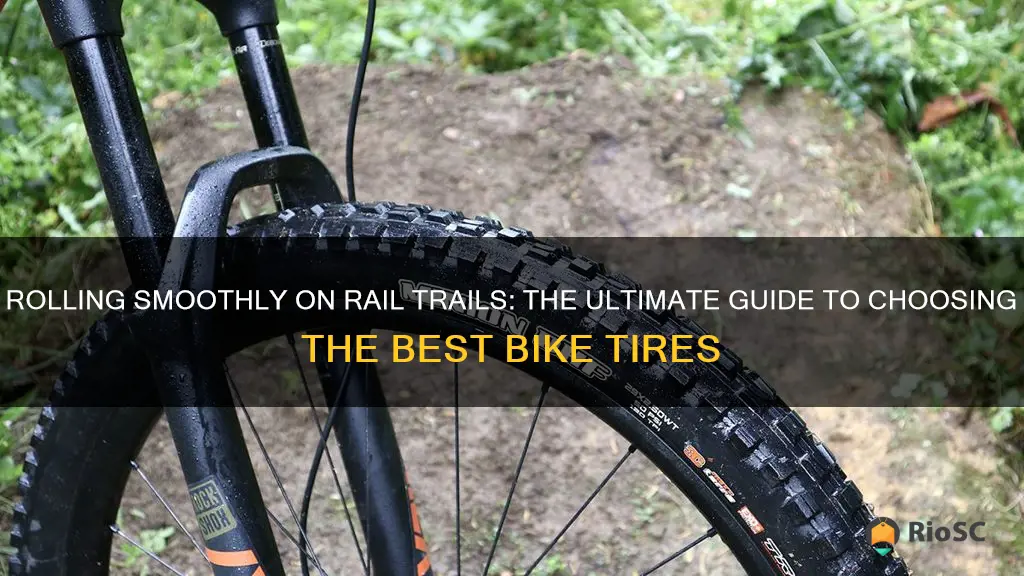 best bike tires for rail trails