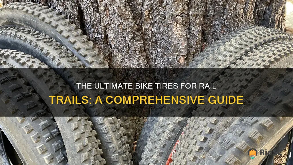 best bike tires for rail trails