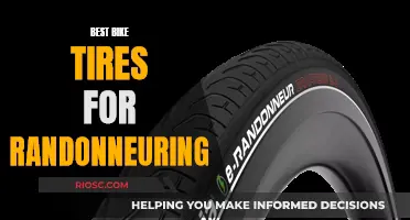 The Ultimate Guide to Choosing the Best Bike Tires for Randonneuring: A Comprehensive Review