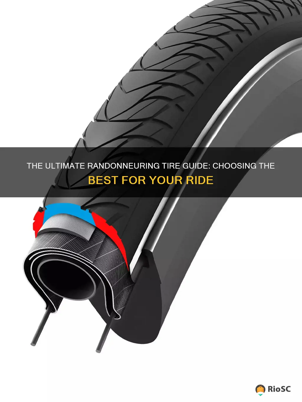 best bike tires for randonneuring
