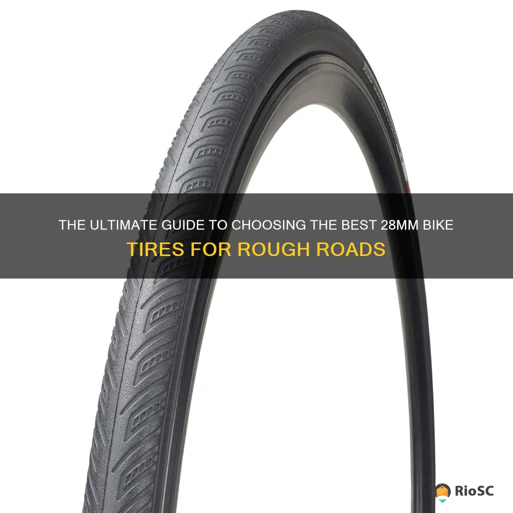 best bike tires for rough roads 28mm