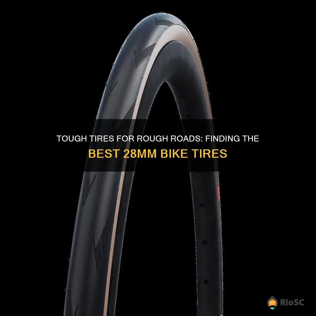 best bike tires for rough roads 28mm