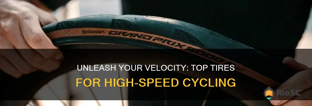 best bike tires for speed