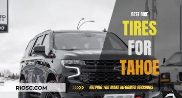 Rolling Through Tahoe: The Top Tire Choices for an Unforgettable Ride