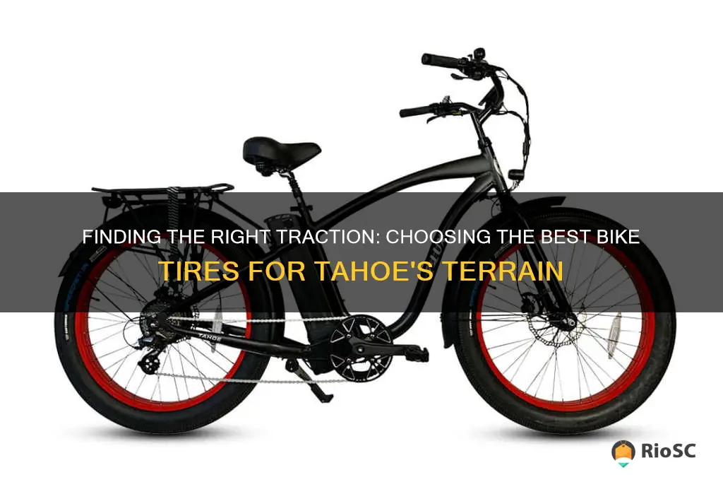 best bike tires for tahoe