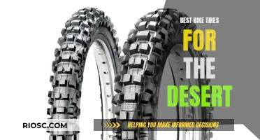 Rolling Through the Sand: Top Bike Tires for Desert Adventures