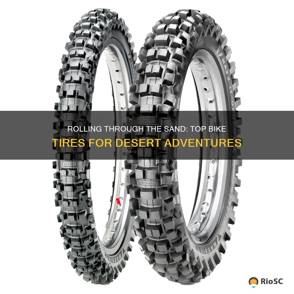 best bike tires for the desert