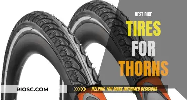 Thorn-Proof Ride: Uncovering the Top Bike Tires for a Smooth Adventure