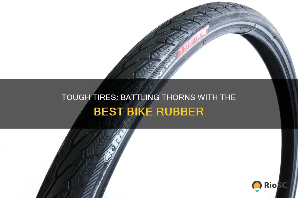 best bike tires for thorns