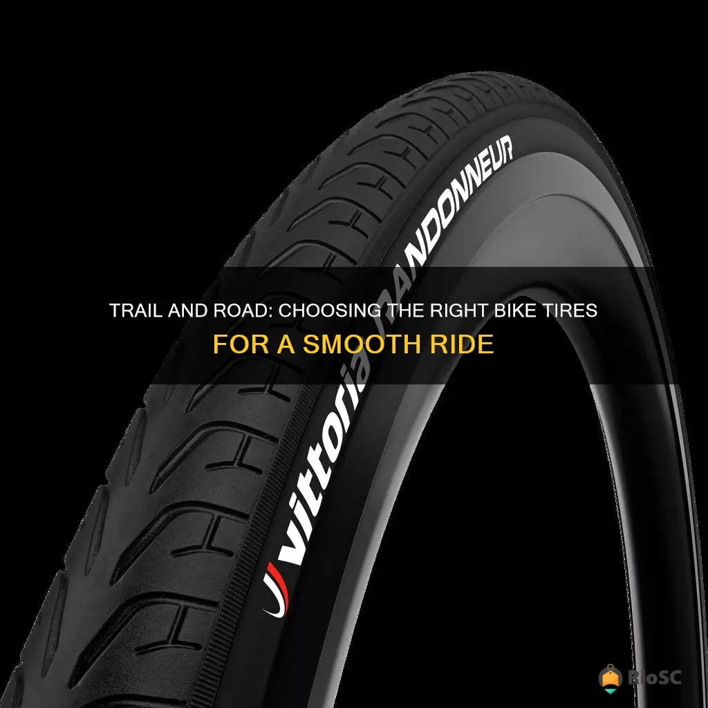 best bike tires for trail and road